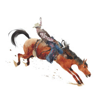 Horse Rodeo Cowboy Riding Wild West American Hero Watercolor Painting Illustration Isolated On White Background