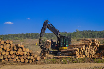 Poster - Logging Equipment