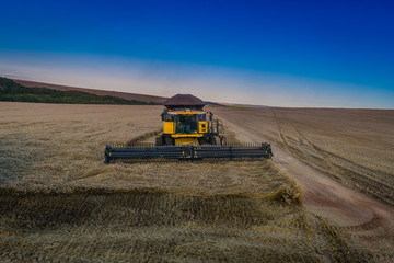 Wall Mural - Harvesting Combine