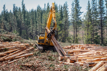 Wall Mural - Logging Equipment