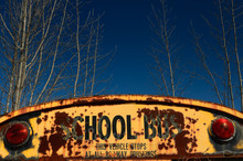 Back Of Rusting School Bus In A Junkyard With Blue Sky In Winter