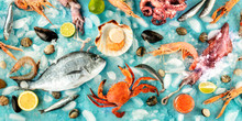 Fish And Seafood Flat Lay Overhead Panorama. Sea Bream. Shrimps, Crab, Sardines, Squid, Mussels, Octopus And Scallops On A Blue Background