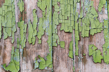 Old wooden background with peeling paint. Vintage boards with blue and green coating. Aquamarine shades on brown and beige pieces of wood knocked into a solid surface.