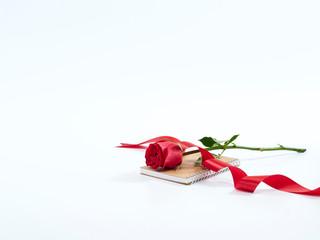 Wall Mural - Single red rose on a diary.