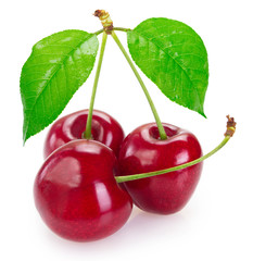 Fresh cherry on white background