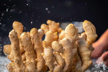 Poster - Ginger is an important spice and one of the traditional Chinese medicines