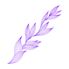 Poster - Spring branch in hand drawn style, great design for any purposes. Romantic design. Vector sketch. Beautiful vector illustration. Spring decoration. Beautiful hand drawn branch. Doodle illustration.