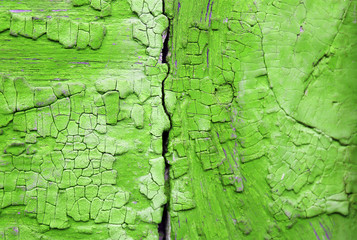 Wall Mural - Old wooden background with remains of pieces of scraps of old paint on wood. Texture of an old tree, vintage wood background peeling paint. old blue board with cracked paint