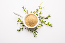 Bacopa Monnieri Herb Plant Or Ayurvedic  Brahmi Plant With Powder In A Bowl, Selective Focus