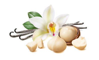 Wall Mural - vanilla flower, pods, macadamia nuts isolated on white background with clipping path