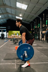 Wall Mural - Young male weightlifter exercising in gym