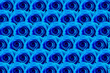 Blue Roses Pattern. Surreal Flower Background. Trendy Color Floral Backdrop. Contemporary Design
