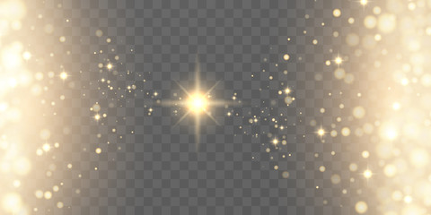 Wall Mural - golden particles glow light effect. glowing yellow powder splash circles. abstract gold bokeh luxury