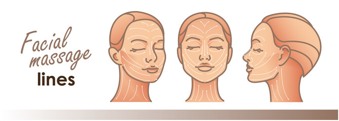Massage facial lines. Beauty treatment, skin care, massage lines. Vector illustration