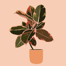 Art Collage Plant Tropical Ficus Leaves In A Minimal Trendy Style. Silhouette Of A Plant. Vector Illustration