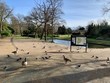Valentines Park in Ilford, London, UK