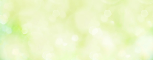 spring background - abstract banner - green blurred bokeh lights