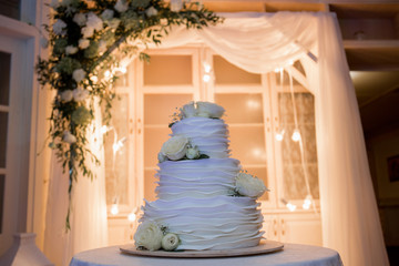 bride and groom cut a wedding cake