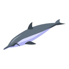 Wall Mural - Aquatic dolphin icon. Isometric of aquatic dolphin vector icon for web design isolated on white background