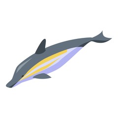 Poster - Wild dolphin icon. Isometric of wild dolphin vector icon for web design isolated on white background