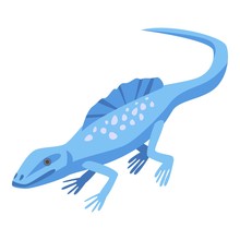 Blue Lizard Icon. Isometric Of Blue Lizard Vector Icon For Web Design Isolated On White Background