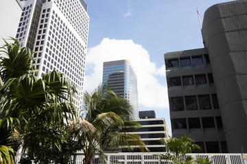 Wall Mural - skyscrapers