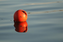 Orange Buoy Swims On The Water