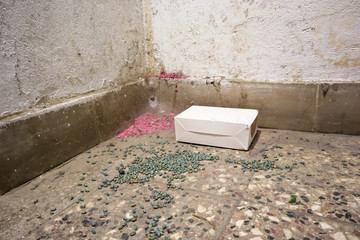 rat poison and white box on the basement floor Poison for control rats   of residential building