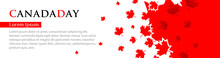 Panoramic Banner For Canada Day. Red Maple Leaves Fly On A White Background. Template With Place For Your Text, Copy Space. Vector Illustration