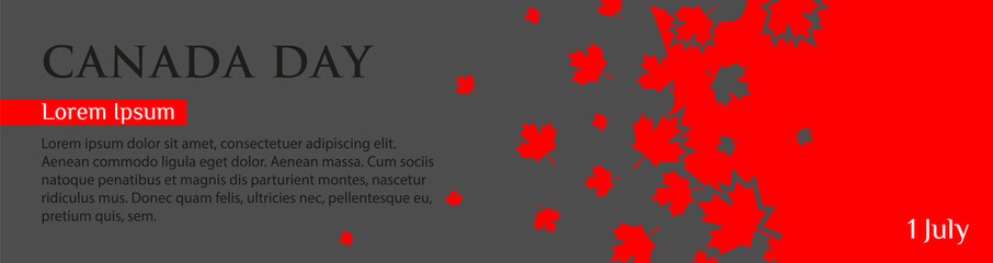 panoramic banner for canada day. red maple leaves fly on a gray background. template with place for 
