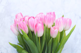 Fototapeta Tulipany - Pink tulips on white marble background.Easter,spring flower concept,copy space.Mothers or Womans day.