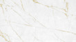 White and gold marble grunge texture crack pattern background.