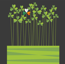 St. Patrick's Day Design With Tall Shamrocks. One Shamrock With Flag Colors Of Ireland. Space For Text. Vector Design For Banners, Party Posters, Greeting Cards, Flyers, Invitations.