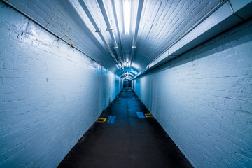 Wall Mural - scary pedestrian tunnel at night