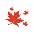 Maple leaf logo design vector illustration template