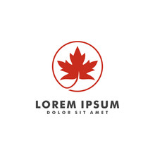Maple Leaf Logo Design Vector Illustration Template