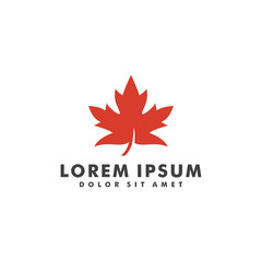 maple leaf logo design vector illustration template
