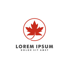 maple leaf logo design vector illustration template