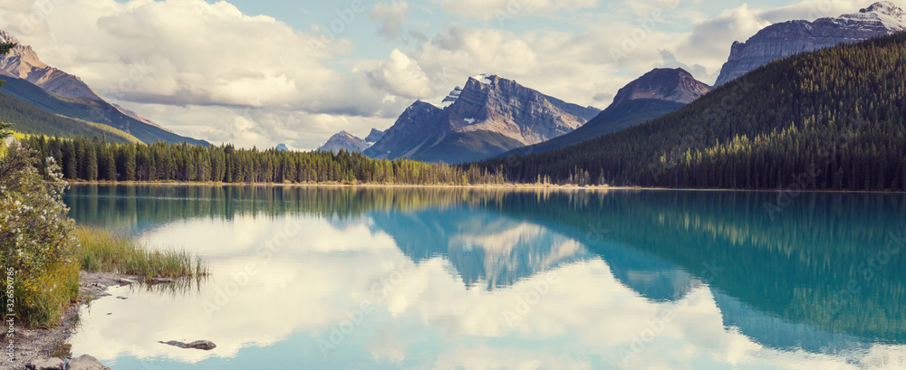 Lake in Canada - obrazy, fototapety, plakaty 