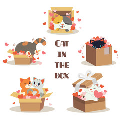 Wall Mural - The collection of cute cat in the box with a lot of heart on the white background. The character of cute cat sittng in the box with heart. The character of cute cat in flat vector style.