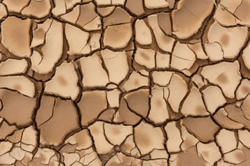 Wall Mural - cracked earth texture