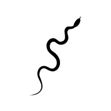 Snake Icon Isolated On White Background