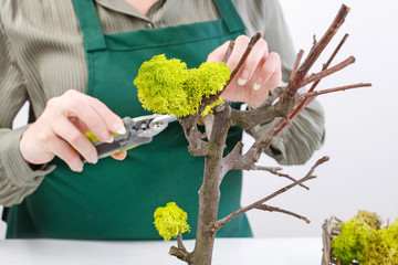 Woman shows how to make Easter decoration in tree shape with hanging eggs