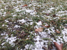 White Hail On Green Grass