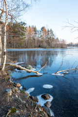 Wall Mural - Frozen lake shore, tree dipped in the ice. Beautiful winter wonderland.