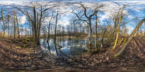 Wall Mural - full seamless spherical hdri panorama 360 degrees angle view among the bushes of forest near swamp in equirectangular projection, ready VR AR virtual reality content