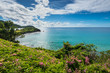 Tropical Caribbean Landscape of Antigua island, Antigua and Barbuda