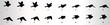 Bird flying animation sequence silhouette, loop animation sprite sheet