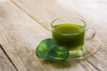 Canvas Print - Closeup cup glass of Gotu Kola tea with green leaves ( Asiatic pennywort, Indian pennywort, Centella asiatica ) isolated on wood table background. Tropical medical herbal plant, healthy drink concept 