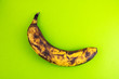 Spoiled banana on a green background. Organic waste overripe fruit. Ugly foods, fruits. Copy space